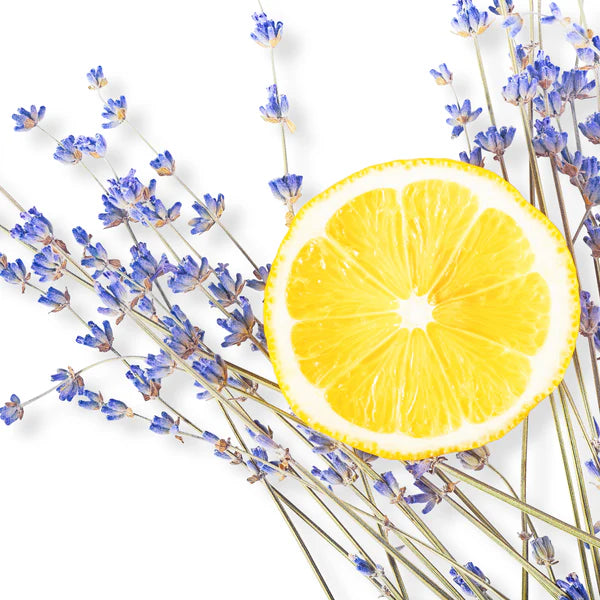 Lemon lavender 🍋